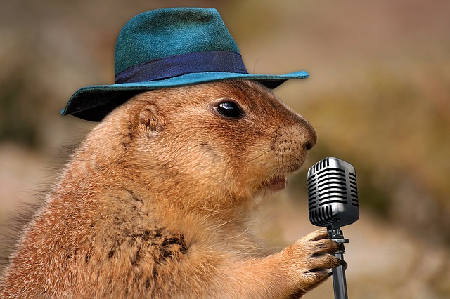 An image of a roden wearing a hat standing in front of a microphone