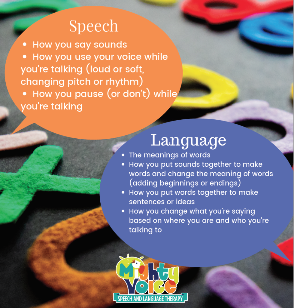 relationship between speech and language